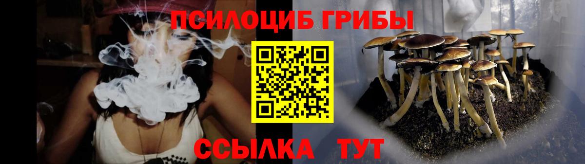 Галлюциногенные грибы Cubensis  Вход с VPN  Дальнереченск 