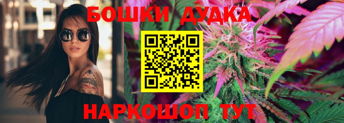 Каннабис сатива  Бошки марихуана план  Вход с VPN  Бошки марихуана семена  Дальнереченск 